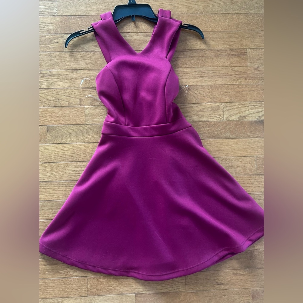 WINDSOR Elegant Wine Sleeveless Dress NEW